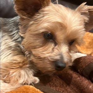 Meet your Posher, Jacob